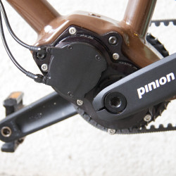 Sleipnir mit Hibox P1 Schaltadapter für Pinion P-Getriebe